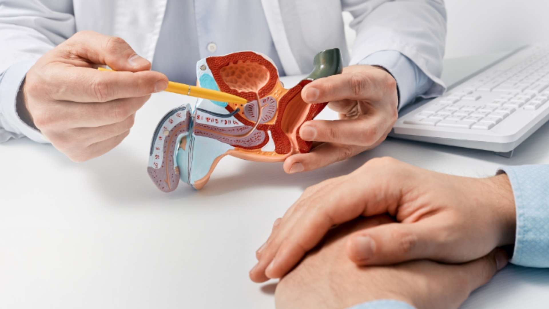 Urología